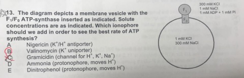 Solved Explain why it is option B, and not any of the other | Chegg.com