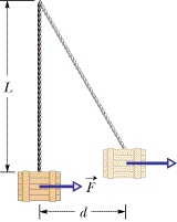 Solved A 271 kg crate hangs from the end of a rope of length | Chegg.com