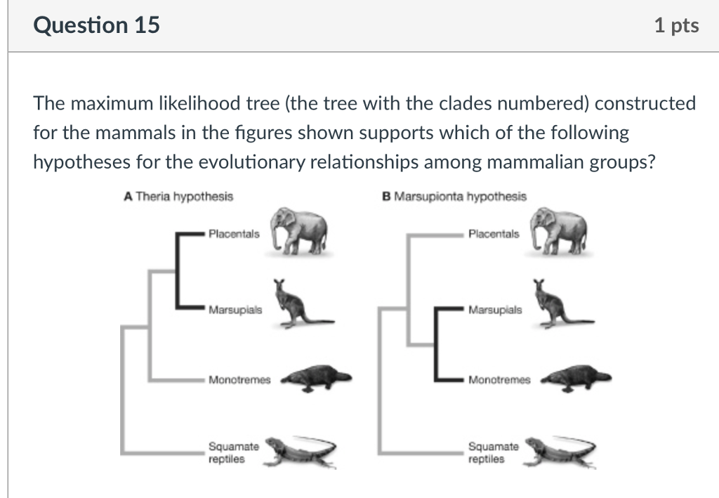 Solved D Question 2 1 pts Why do evolutionary biologists say | Chegg.com