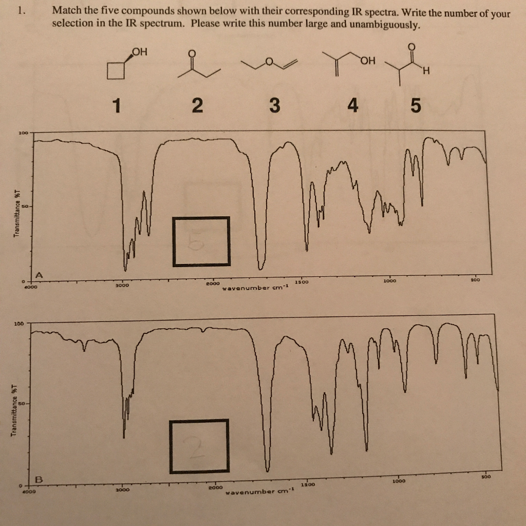 Solved Match the five compounds shown below with their | Chegg.com
