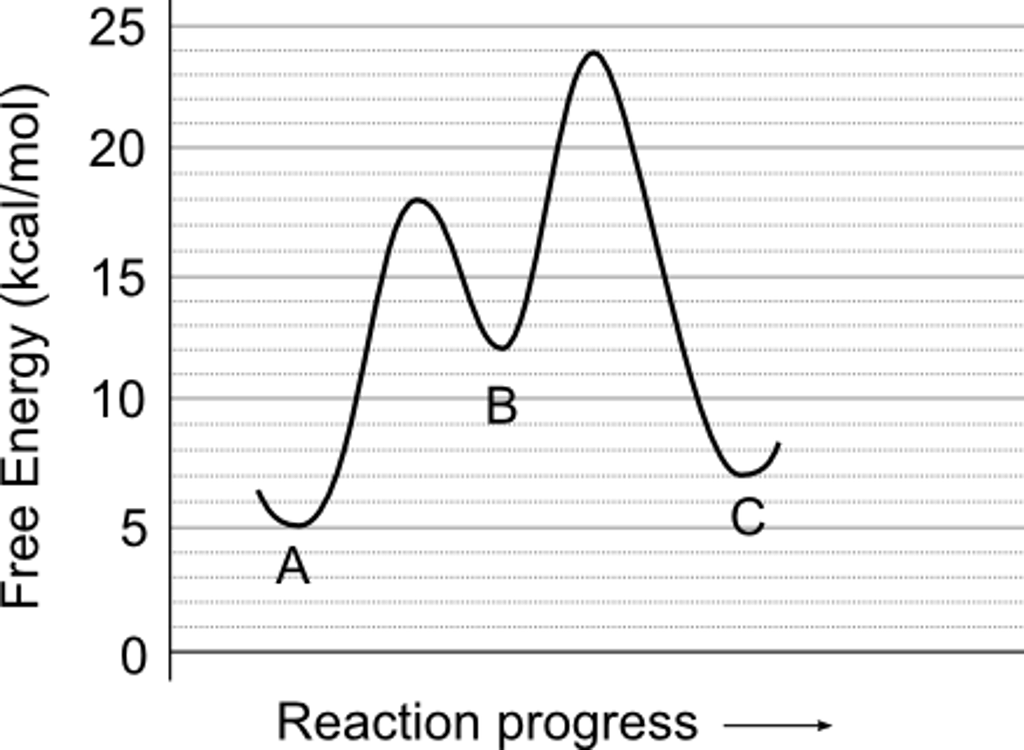 1) Use the reaction energy diagram above to | Chegg.com