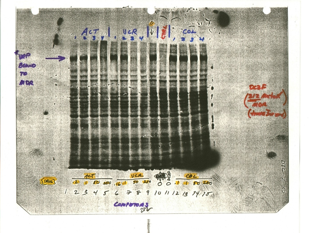 Which drug (COL, VCR, ACT) binds the strongest, and