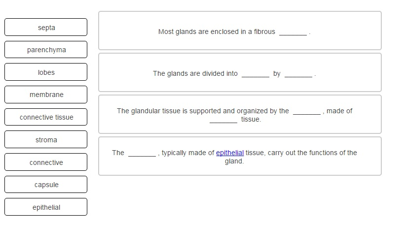 Solved Please help filling in the following blanks/ drag | Chegg.com