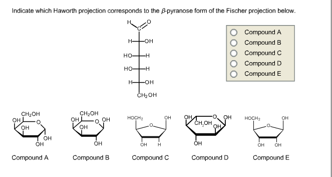 Solved Indicate which Haworth projection corresponds to the | Chegg.com