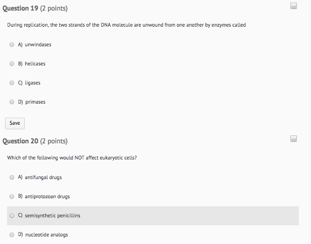 solved-question-19-2-points-during-replication-the-two-chegg