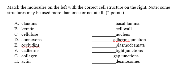 Solved Match the molecules on the left with the correct cell | Chegg.com