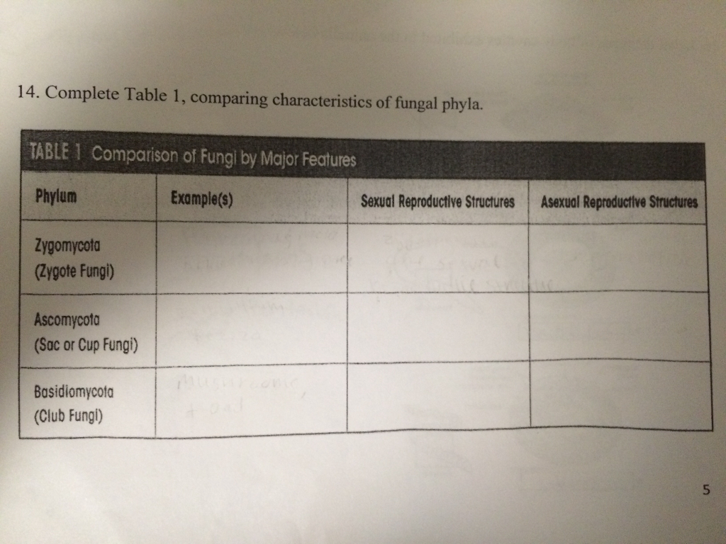 Solved Complete Table 1, comparing characteristics of fungal | Chegg.com