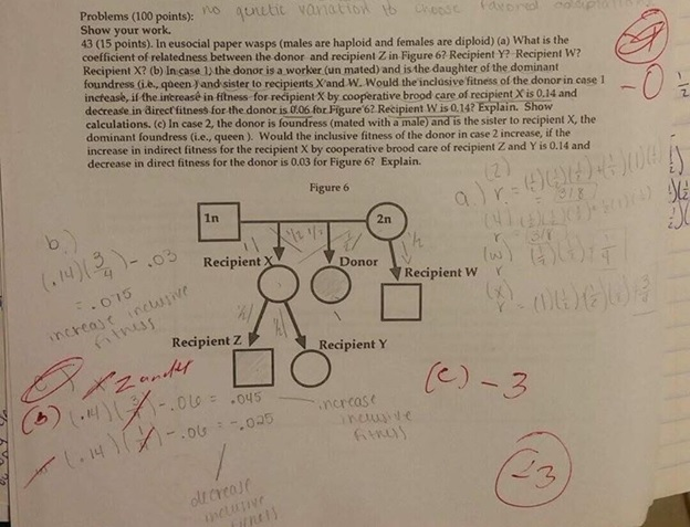 Problems (100 points): uo qutit vanation b ese ao | Chegg.com