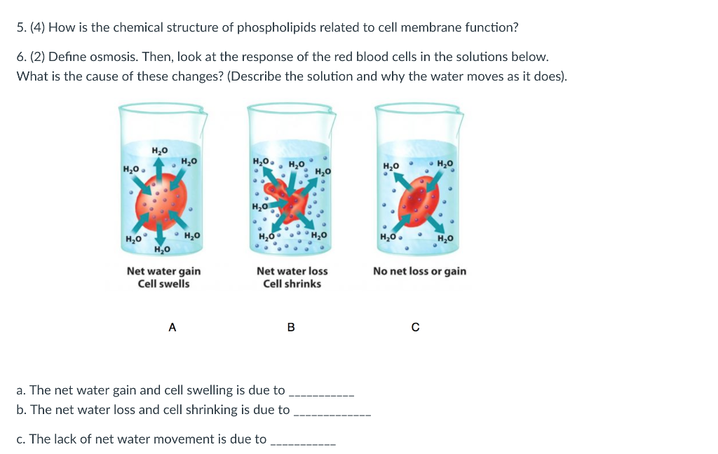 solved-1-2-what-is-vitalism-what-kind-of-evidence-chegg