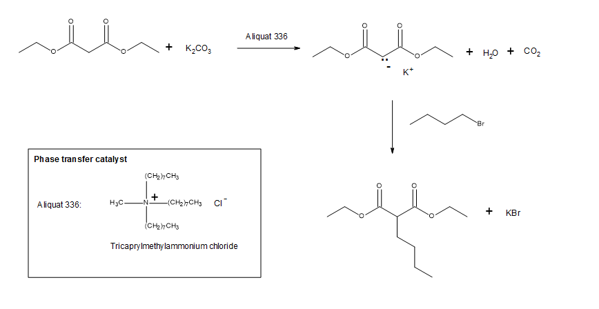 Solved Calculate the theoretical yield 40 mg of | Chegg.com