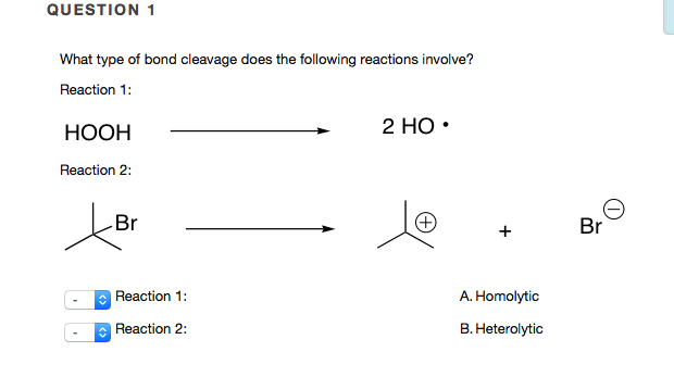 Solved What Type Of Bond Cleavage Does The Following | Chegg.com