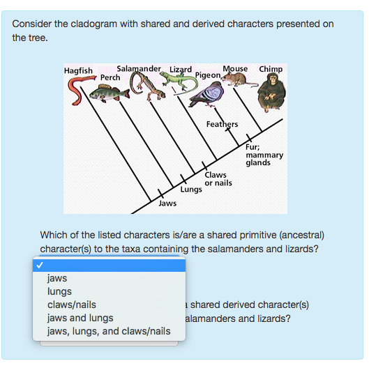 Solved Consider the cladogram with shared and derived | Chegg.com