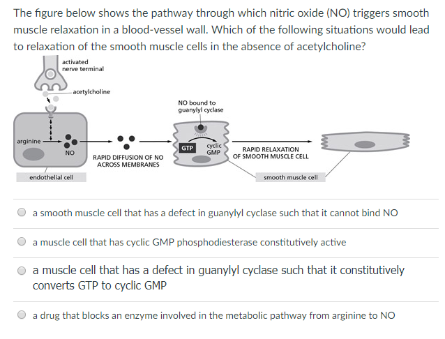 Solved: The Figure Below Shows The Pathway Through Which N... | Chegg.com