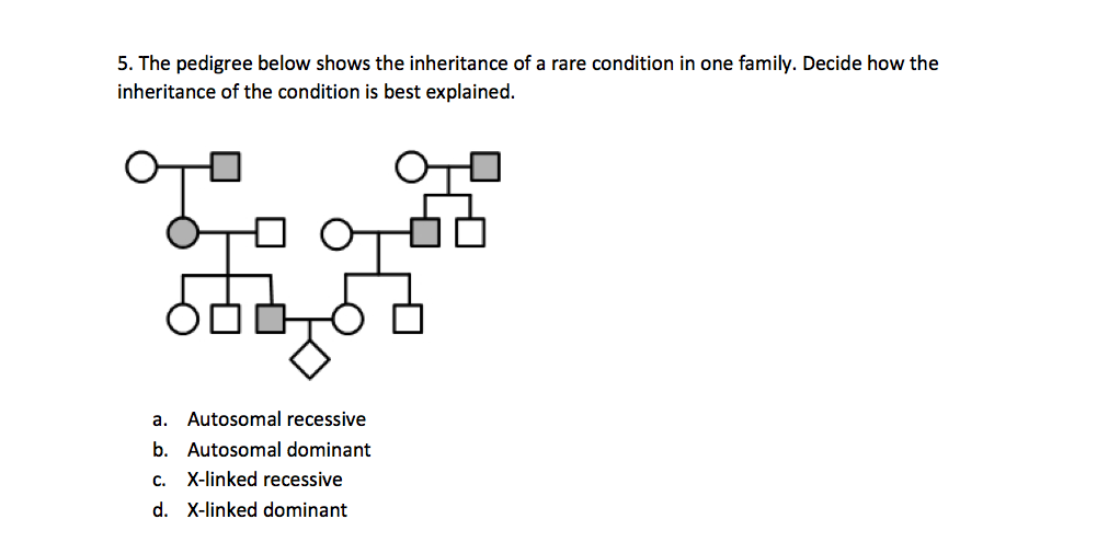 Solved The pedigree below shows the inheritance of a rare | Chegg.com