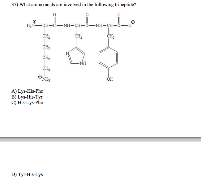 Solved What is the amino acid sequence codEd from the | Chegg.com