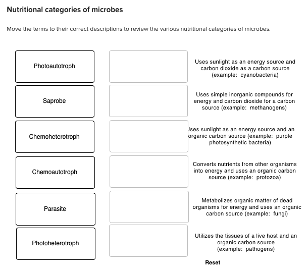 solved-nutritional-categories-of-microbes-move-the-terms-chegg