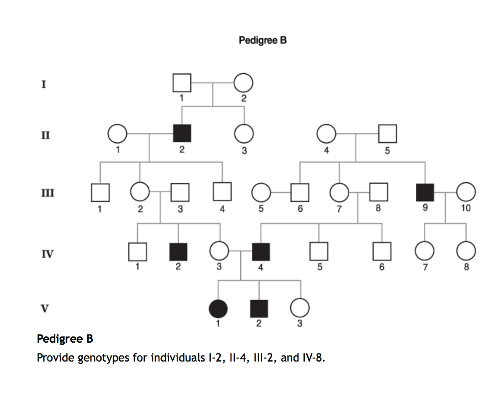 Solved In The Following Pedigrees The Disorders Or Trait