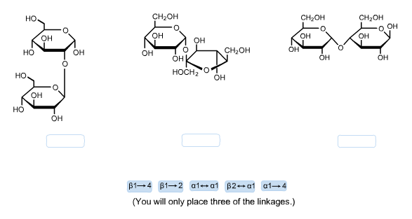 Solved (a) Analyze the following pair of compounds. Which of | Chegg.com