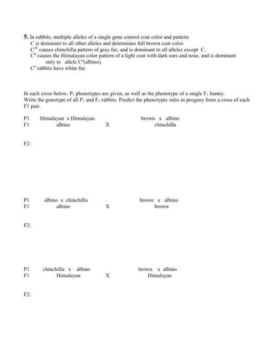 solved-in-rabbits-multiple-alleles-of-a-single-gene-control-chegg