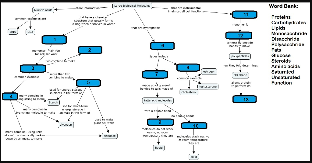 Lipids Concept Map Mcgraw Hill