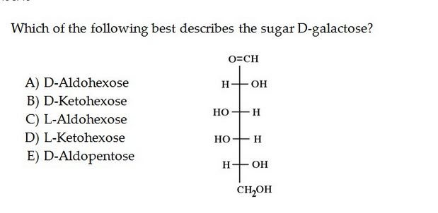 solved-which-of-the-following-best-describes-the-sugar-chegg