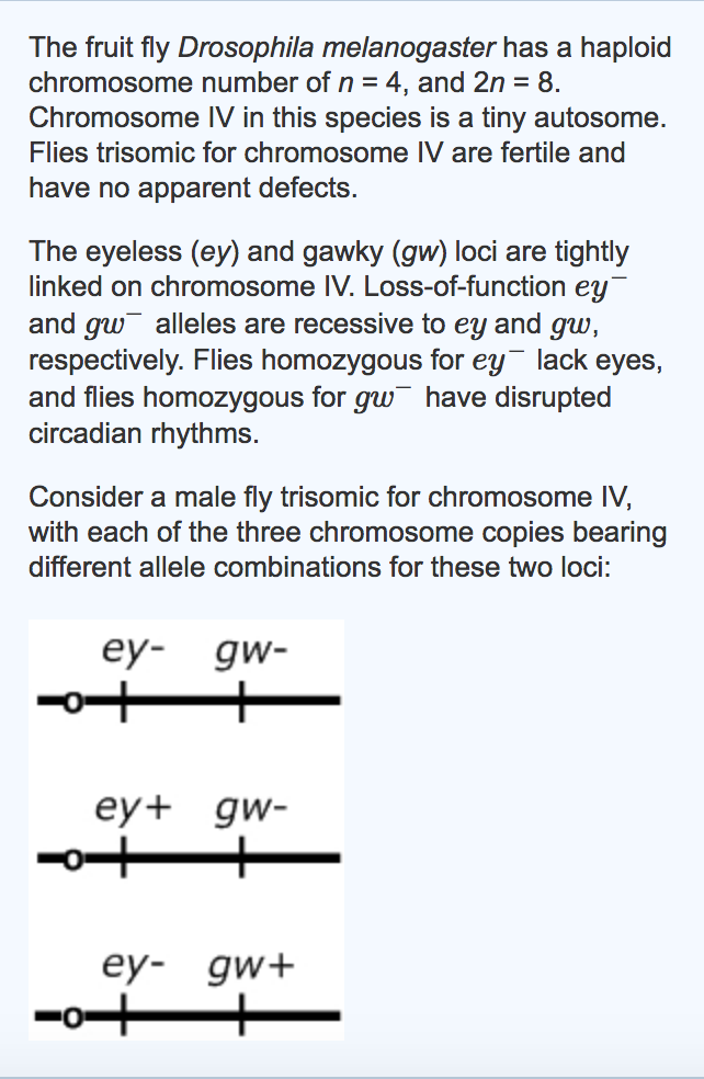 Solved The fruit fly Drosophila melanogaster has a haploid
