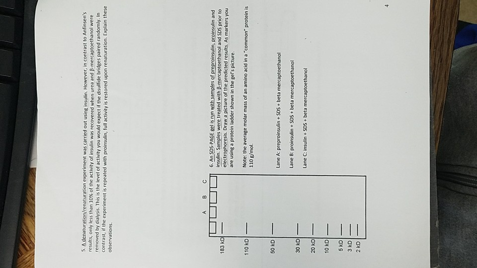 ribonuclease denaturation renaturation experiment