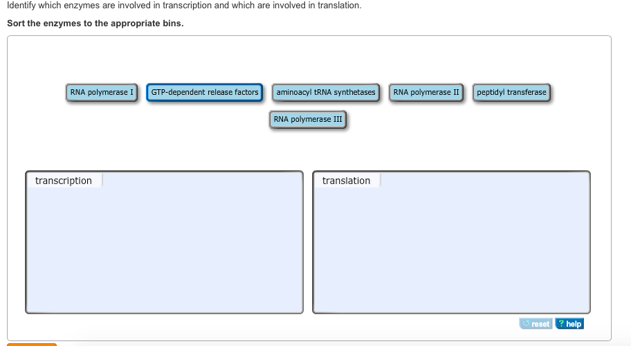 Solved Identify which enzymes are involved in transcription