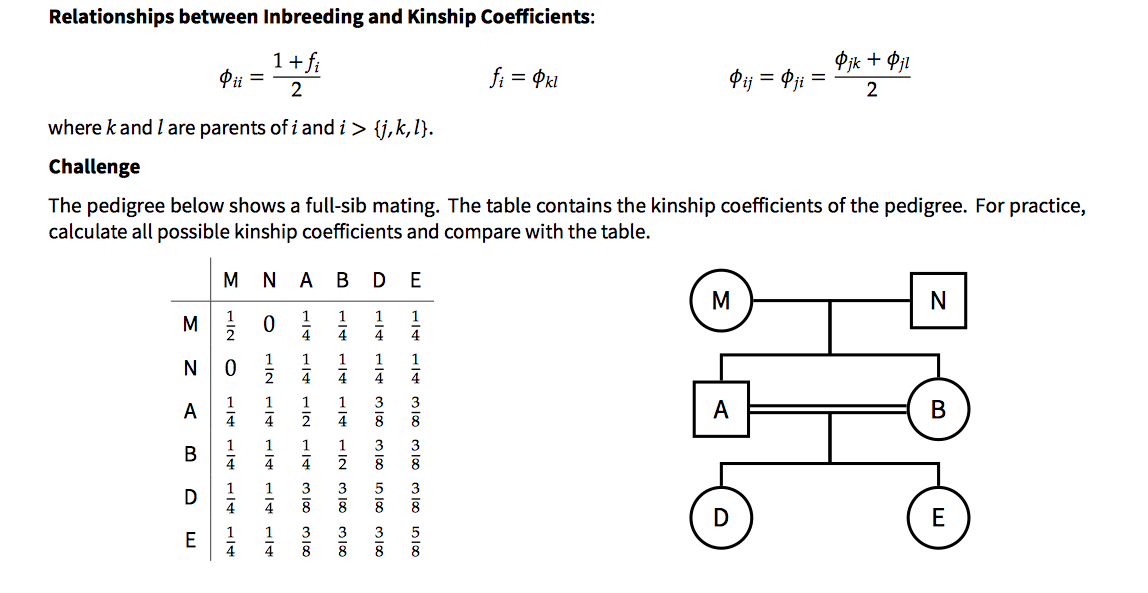 Relationship Inbreeding R Values Solved Relationships between Inbreeding and Kinship | Chegg.com