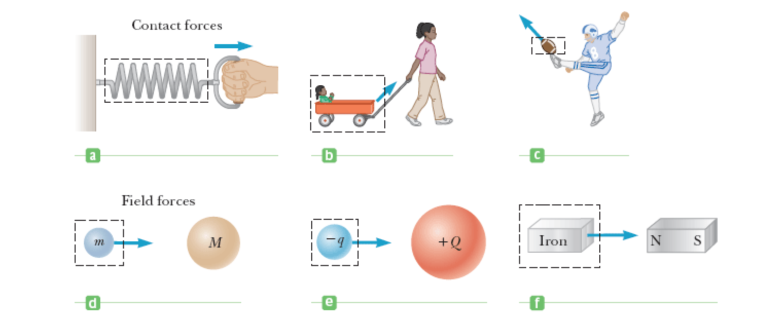 Solved One or more external forces are exerted on each