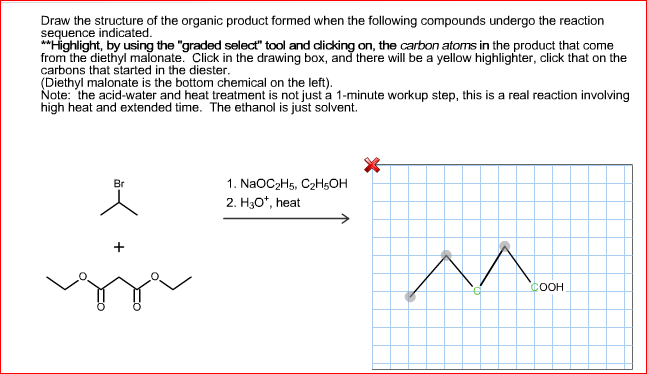 Solved Draw the Major Product of the following Reaction. The | Chegg.com