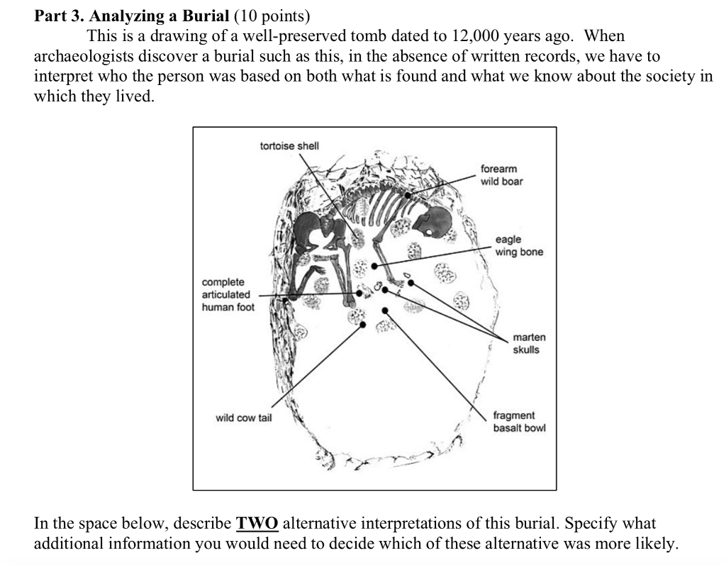 solved-part-3-analyzing-a-burial-10-points-this-is-a-chegg