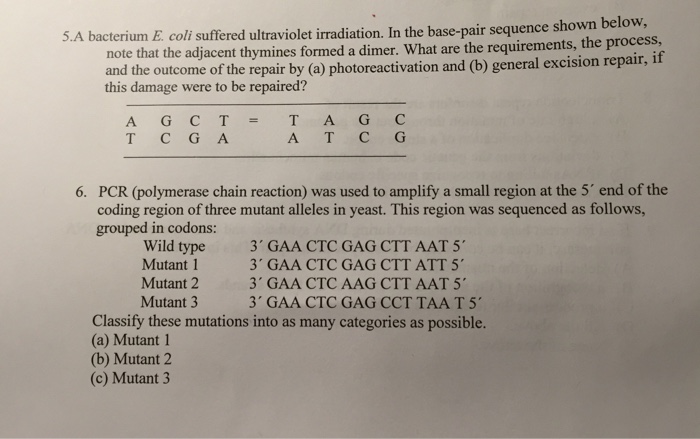 Solved A bacterium E. coli suffered ultraviolet irradiation. | Chegg.com