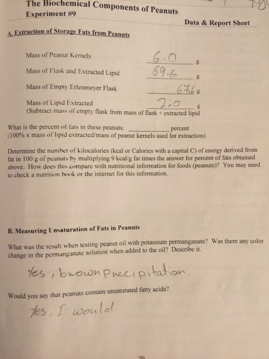Solved The Biochemical Components of Peanuts Experiment 9