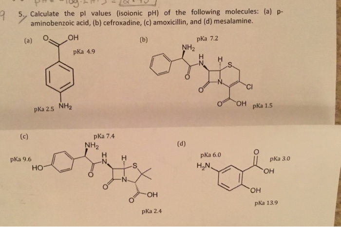 Solved Calculate the pl values (isoionic pH) of the | Chegg.com