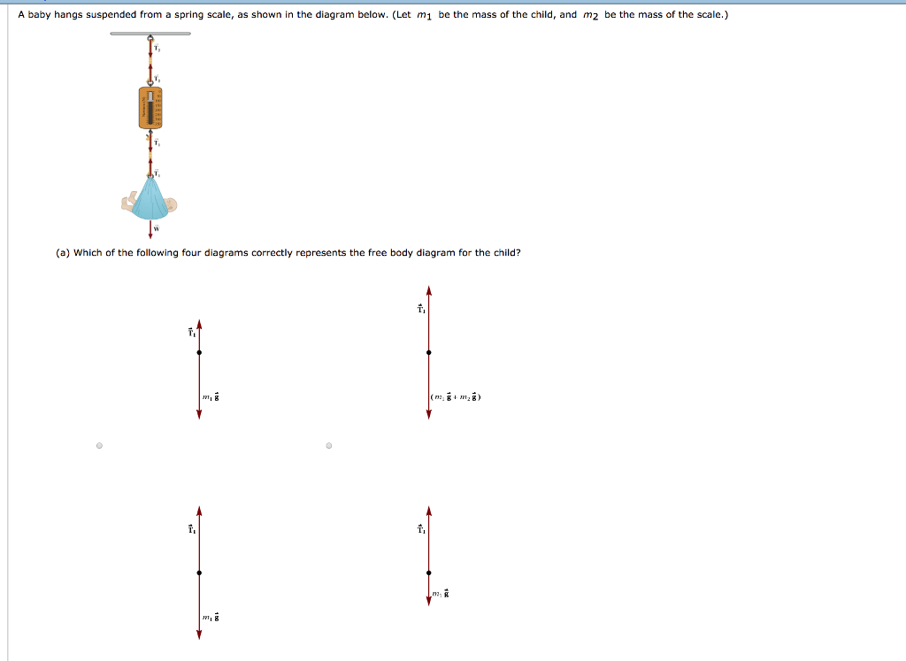 Solved A Baby Hangs Suspended From A Spring Scale, As Sho&hellip;