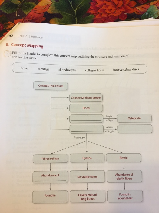 Solved Fill in the blanks to complete this concept map | Chegg.com