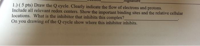 Solved Draw the Q cycle. Clearly indicate the flow of | Chegg.com