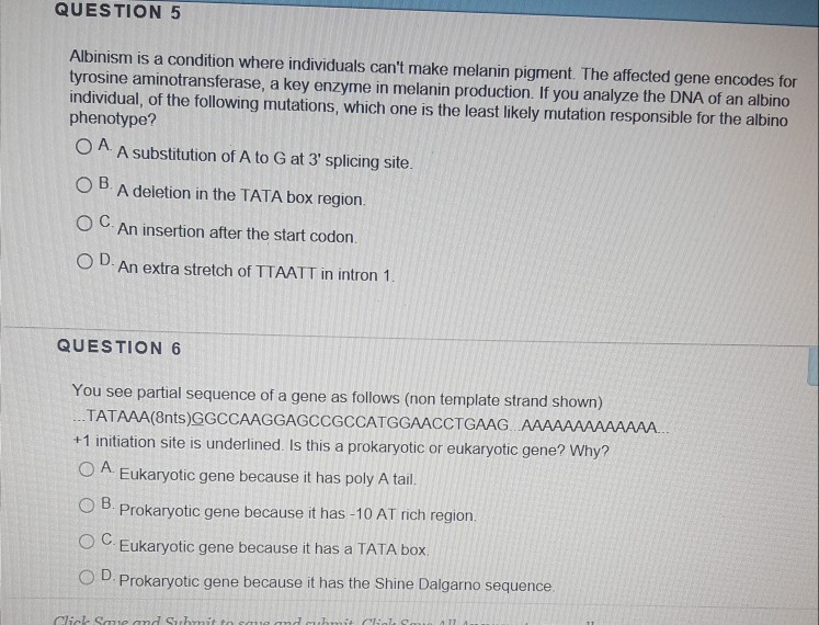 Solved QUESTION 3 If a mutation deletes the start codon in a | Chegg.com