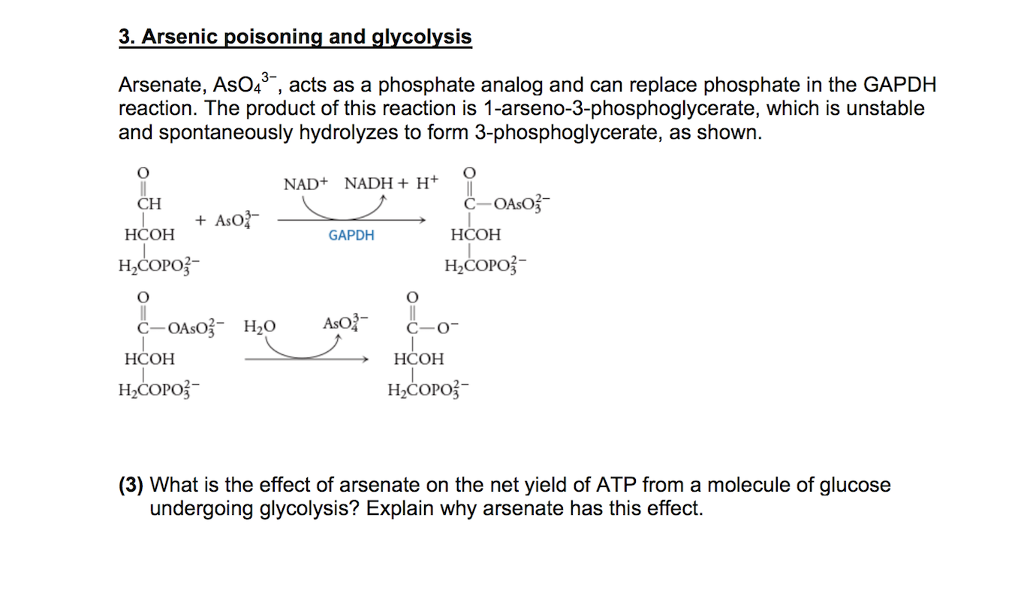 Solved 3. Arsenic poisoning and glycolysis Arsenate, As04 , | Chegg.com