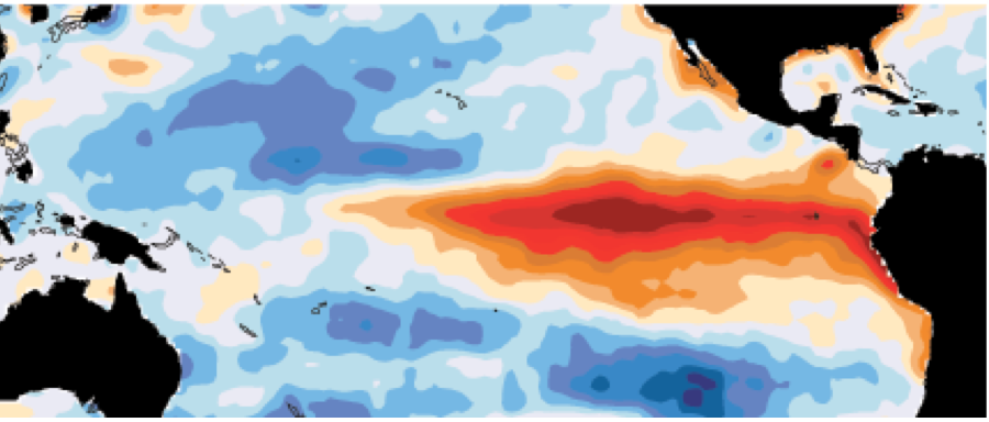 Solved 1. How would El Nino affect a fisherman living on | Chegg.com