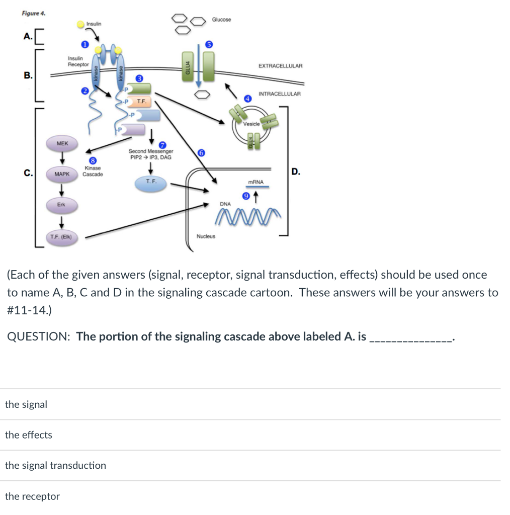 Solved “Mia, now that you understand the basics of signaling