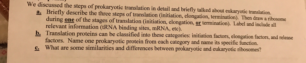 solved-a-describle-the-three-steps-of-translation-then-chegg