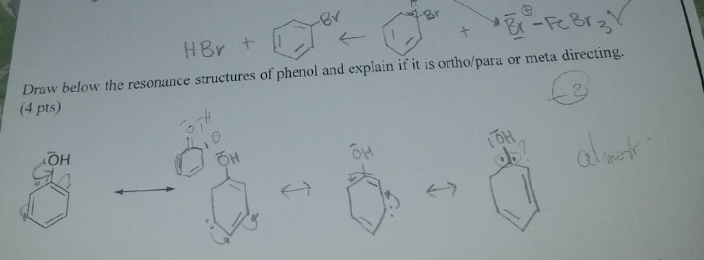 Solved Draw below the resonance structures of phenol and | Chegg.com