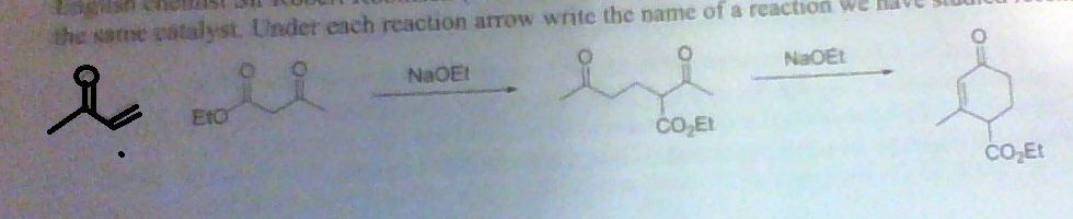 Solved the Name catalyst. Under each reaction arrow wnte the | Chegg.com