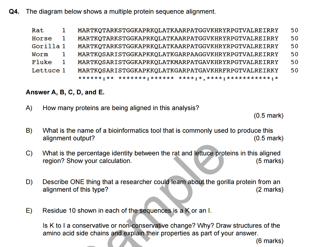 Solved The diagram below shows a multiple protein sequence | Chegg.com