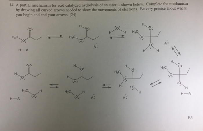 Solved A partial mechanism for acid catalyzed hydrolysis | Chegg.com