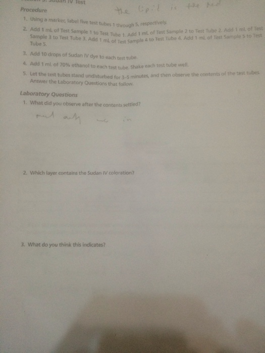 Solved What did you observe after the contents settled?