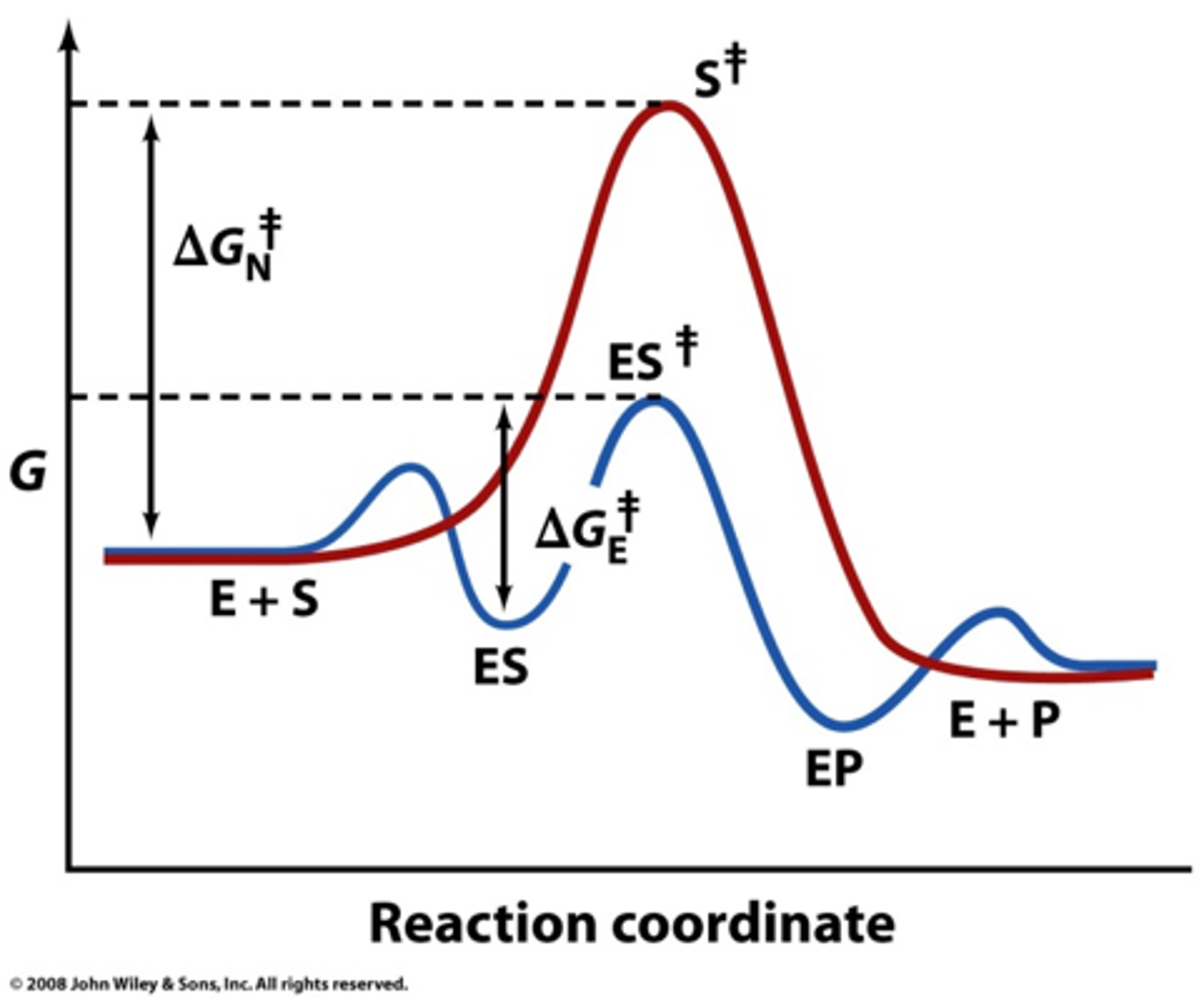 Solved For the reactions in the diagram, the rate of the