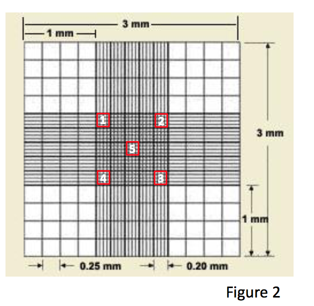 Solved Refer To The Hemocytometer Drawing In Figure 2. The 